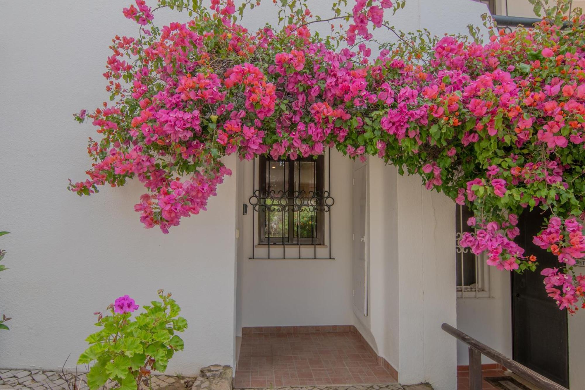 Coastal Retreat With Pool And Beach Access By Drago Rentals Albufeira Kültér fotó